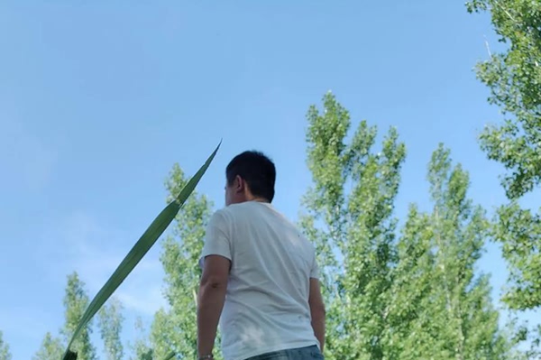 婚姻警钟：丈夫说谎话背后的真相及应对