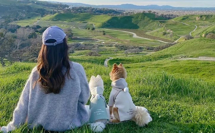 当女人下定决心离婚，是否还能挽回感情
