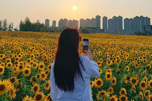 她对你动心的七个信号，你察觉到了吗